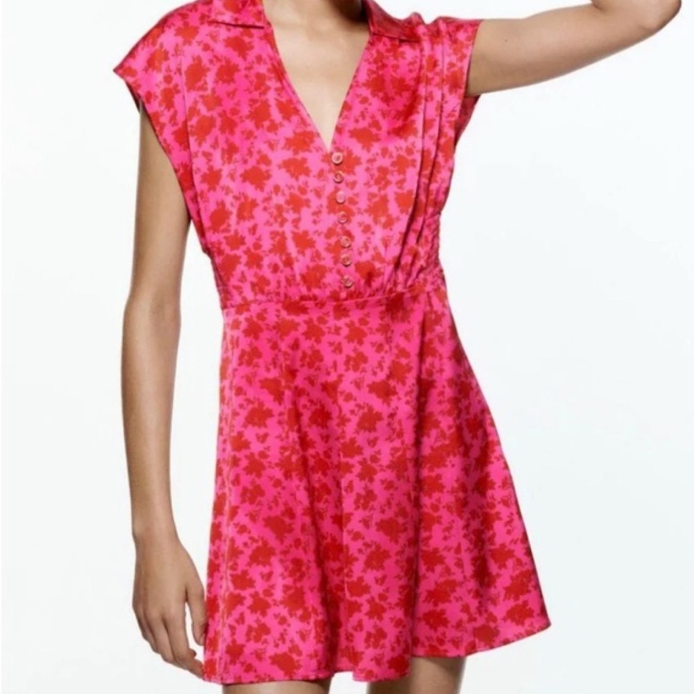 Zara Floral Pink/Red Dress